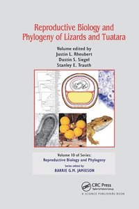 bokomslag Reproductive Biology and Phylogeny of Lizards and Tuatara
