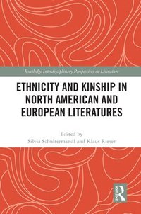 bokomslag Ethnicity and Kinship in North American and European Literatures