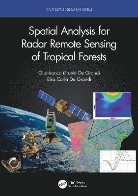 bokomslag Spatial Analysis for Radar Remote Sensing of Tropical Forests