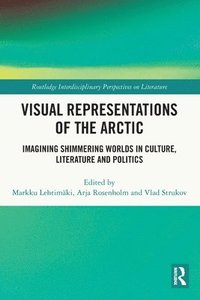 bokomslag Visual Representations of the Arctic
