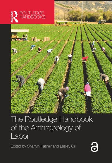 Sharryn Kasmir, Lesley Gill - Routledge Handbook of the Anthropology of Labor, Inbunden