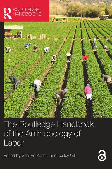 Sharryn Kasmir, Lesley Gill - Routledge Handbook of the Anthropology of Labor, Häftad