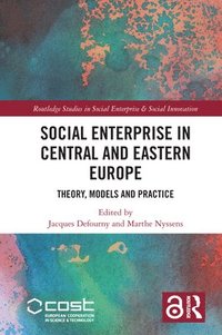 bokomslag Social Enterprise in Central and Eastern Europe