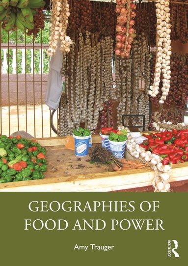 bokomslag Geographies of Food and Power