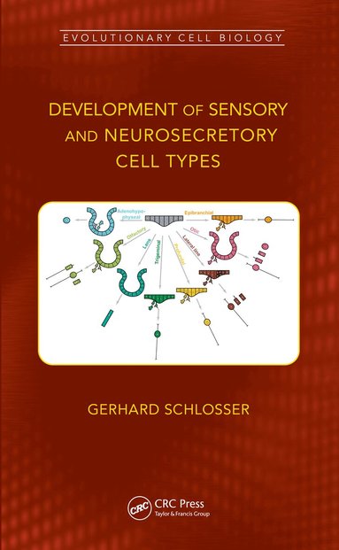 Gerhard Schlosser - Development of Sensory and Neurosecretory Cell Types, Häftad