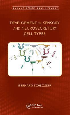 Development of Sensory and Neurosecretory Cell Types 1