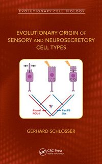 bokomslag Evolutionary Origin of Sensory and Neurosecretory Cell Types