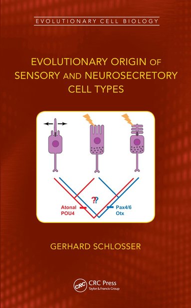 Gerhard Schlosser - Evolutionary Origin of Sensory and Neurosecretory Cell Types, Inbunden