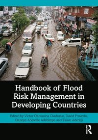 bokomslag Handbook of Flood Risk Management in Developing Countries