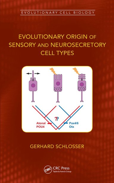 Gerhard Schlosser - Evolutionary Origin of Sensory and Neurosecretory Cell Types, Häftad