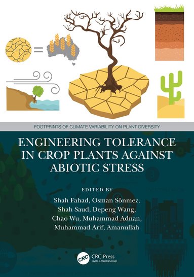 bokomslag Engineering Tolerance in Crop Plants Against Abiotic Stress