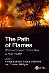bokomslag The Path of Flames