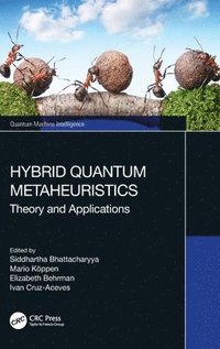 bokomslag Hybrid Quantum Metaheuristics