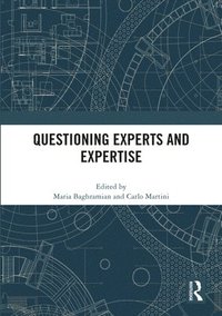 bokomslag Questioning Experts and Expertise