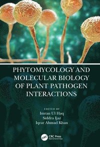 bokomslag Phytomycology and Molecular Biology of Plant Pathogen Interactions
