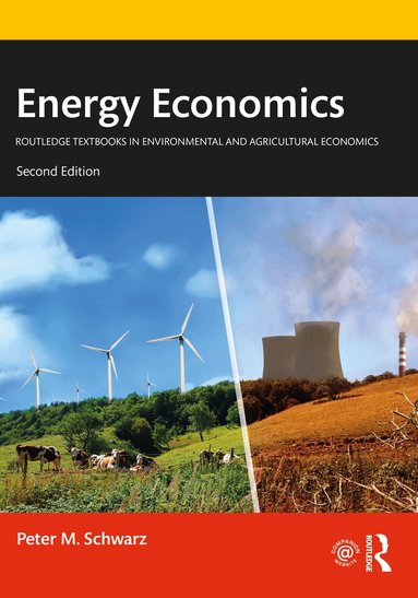 Peter M. Schwarz - Energy Economics, Häftad