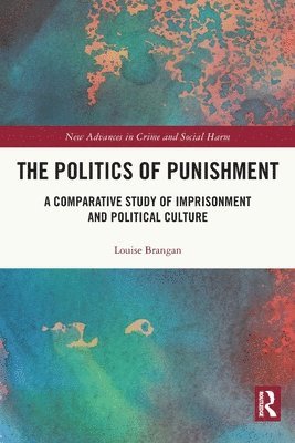 bokomslag The Politics of Punishment