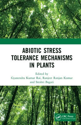 bokomslag Abiotic Stress Tolerance Mechanisms in Plants