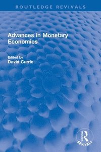 bokomslag Advances in Monetary Economics