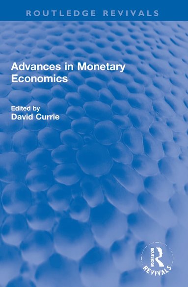 bokomslag Advances in Monetary Economics