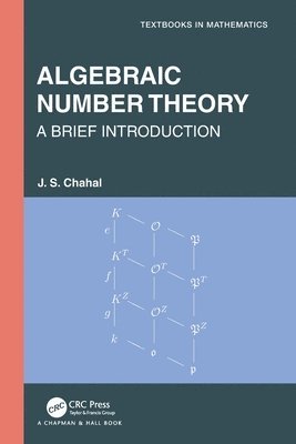 J.S. Chahal, J. S. Chahal - Algebraic Number Theory, Häftad