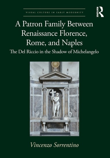 Vincenzo Sorrentino - Patron Family Between Renaissance Florence, Rome, and Naples, Häftad