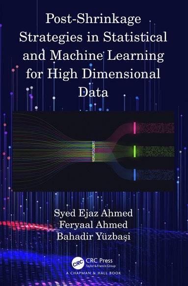 bokomslag Post-Shrinkage Strategies in Statistical and Machine Learning for High Dimensional Data