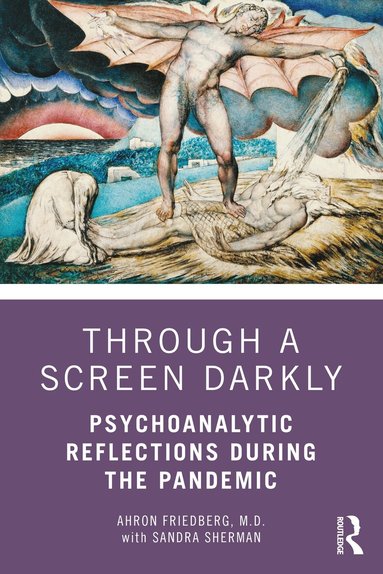 Ahron Friedberg, Sandra Sherman - Through a Screen Darkly, Häftad