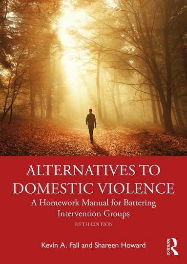 bokomslag Alternatives to Domestic Violence