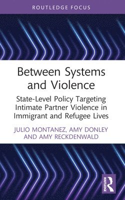 Between Systems and Violence 1