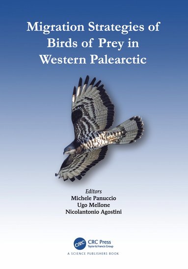 bokomslag Migration Strategies of Birds of Prey in Western Palearctic