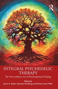 bokomslag Integral Psychedelic Therapy
