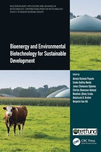 bokomslag Bioenergy and Environmental Biotechnology for Sustainable Development