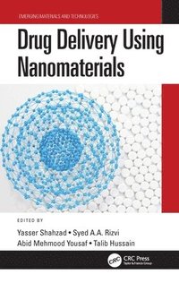 bokomslag Drug Delivery Using Nanomaterials