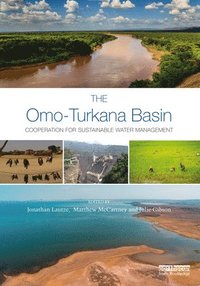 bokomslag The Omo-Turkana Basin