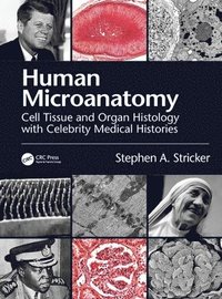 bokomslag Human Microanatomy
