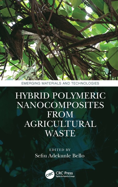bokomslag Hybrid Polymeric Nanocomposites from Agricultural Waste