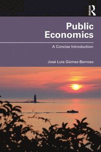 bokomslag Public Economics