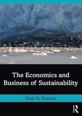 bokomslag The Economics and Business of Sustainability