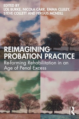 bokomslag Reimagining Probation Practice