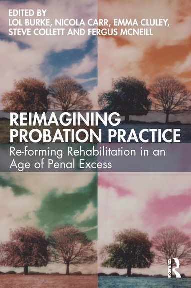 bokomslag Reimagining Probation Practice