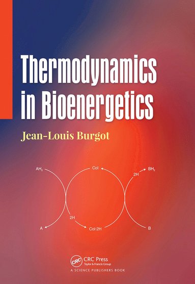 bokomslag Thermodynamics in Bioenergetics