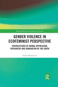 bokomslag Gender Violence in Ecofeminist Perspective
