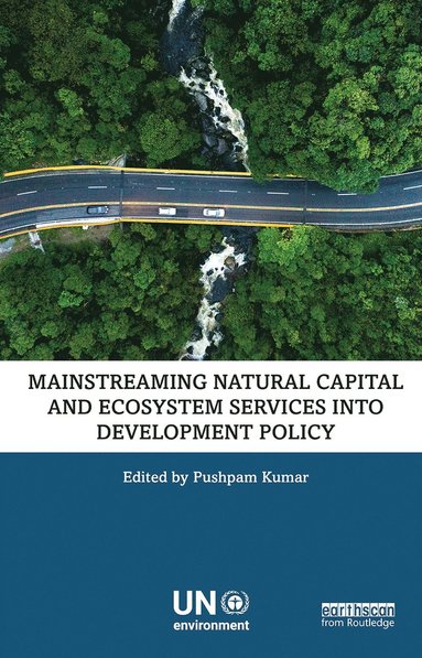 bokomslag Mainstreaming Natural Capital and Ecosystem Services into Development Policy