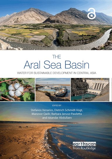 Stefanos Xenarios, Dietrich Schmidt-Vogt, Manzoor Qadir, Barbara Janusz-Pawletta, Iskandar Abdullaev - Aral Sea Basin, Häftad