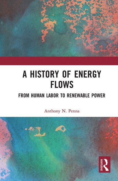 bokomslag History of Energy Flows