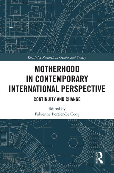 bokomslag Motherhood in Contemporary International Perspective