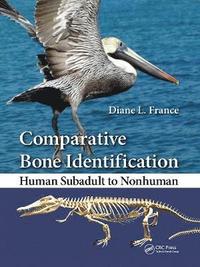 bokomslag Comparative Bone Identification