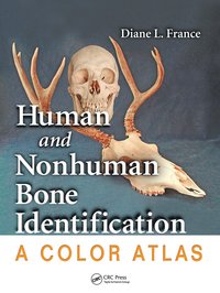 bokomslag Human and Nonhuman Bone Identification