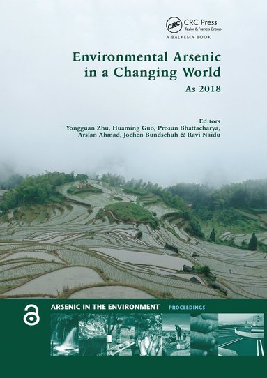 bokomslag Environmental Arsenic in a Changing World